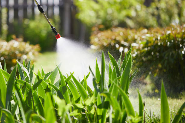 24/7 Emergency Wasp Removal experts in Sneads, FL