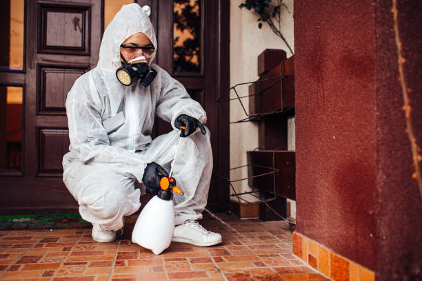 Reliable Wasp Removal contractor in Sneads, FL by Show Me Pest Control